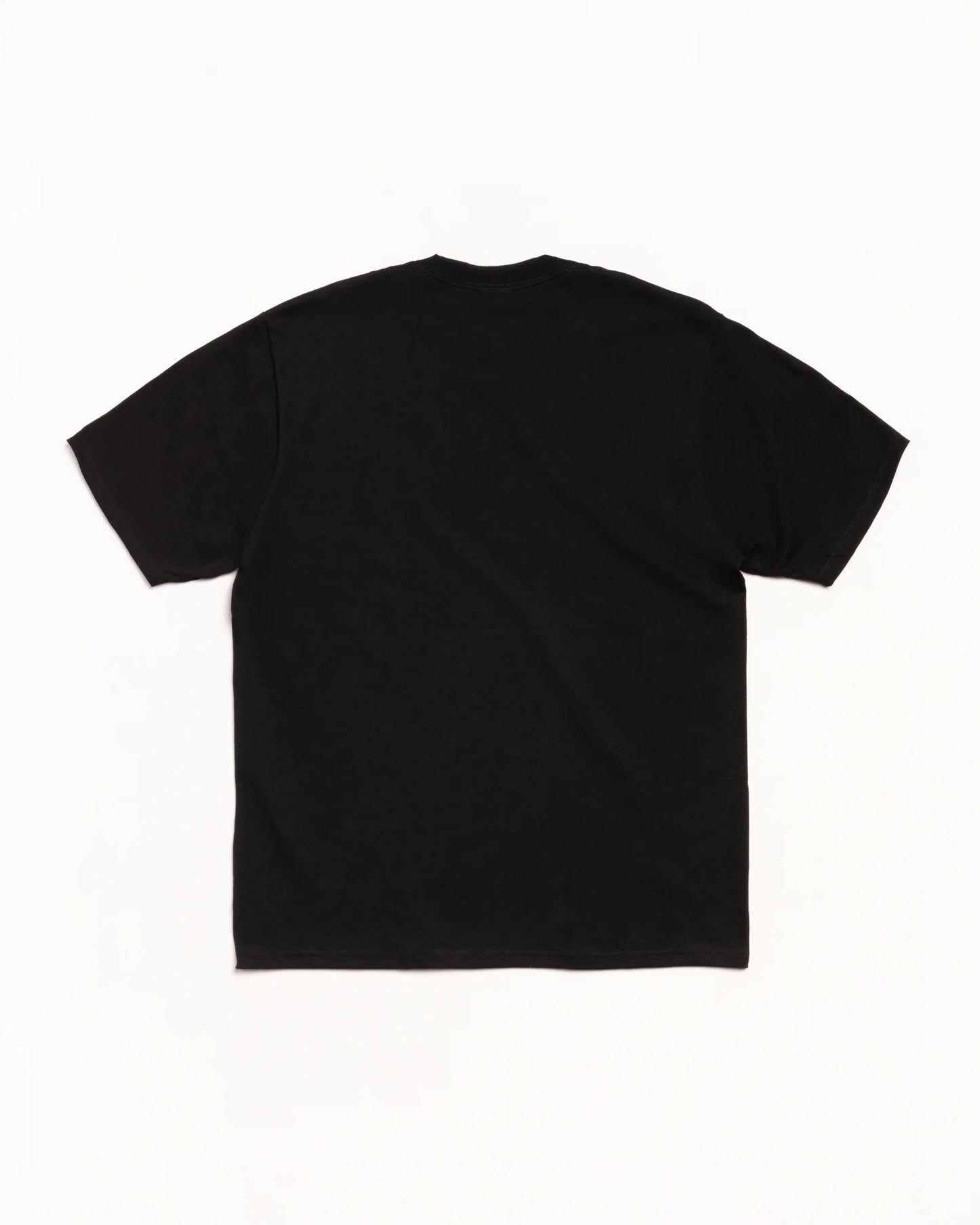 STUSSY LONG RANGE TEE