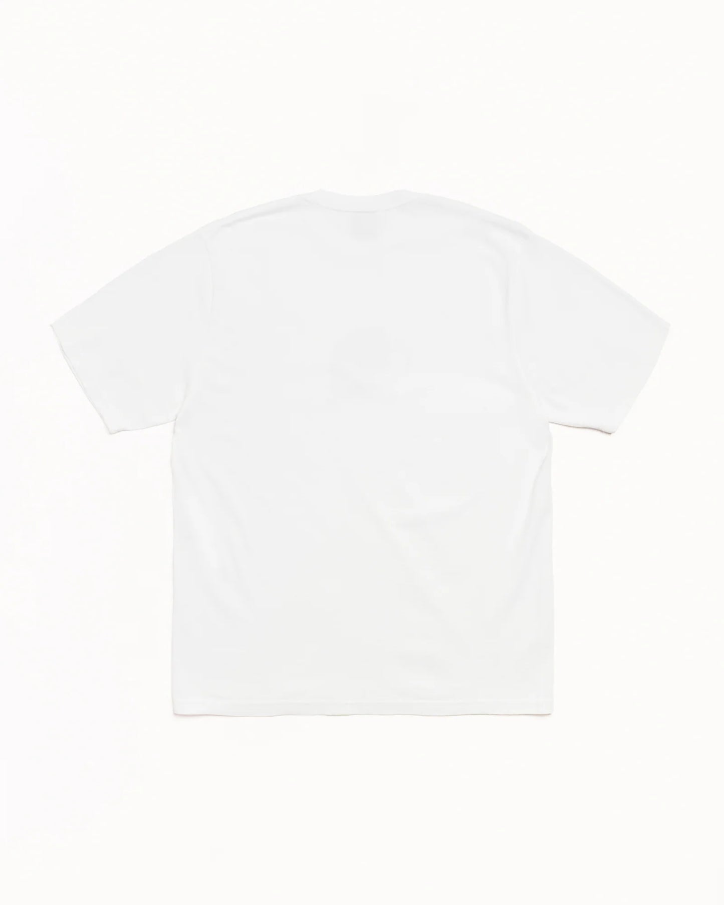 STUSSY LONG RANGE TEE