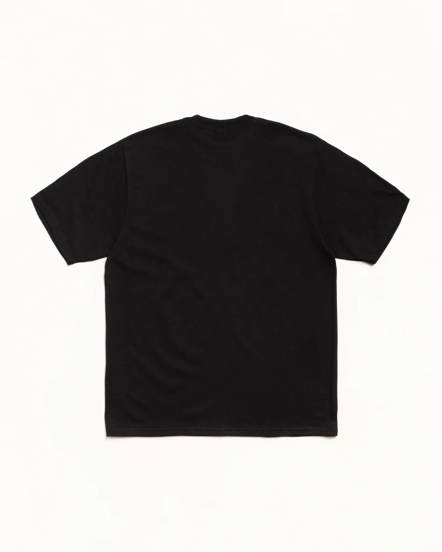 STUSSY FAWN TEE