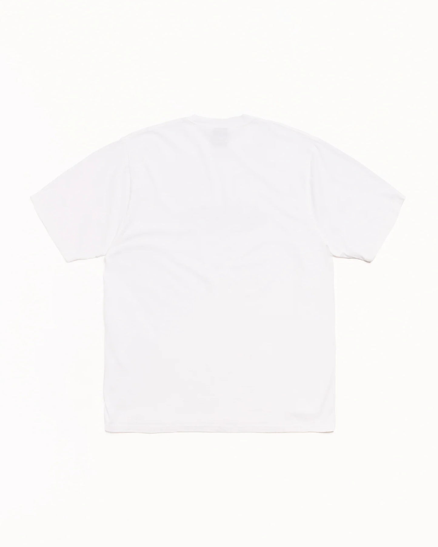 STUSSY FAWN TEE