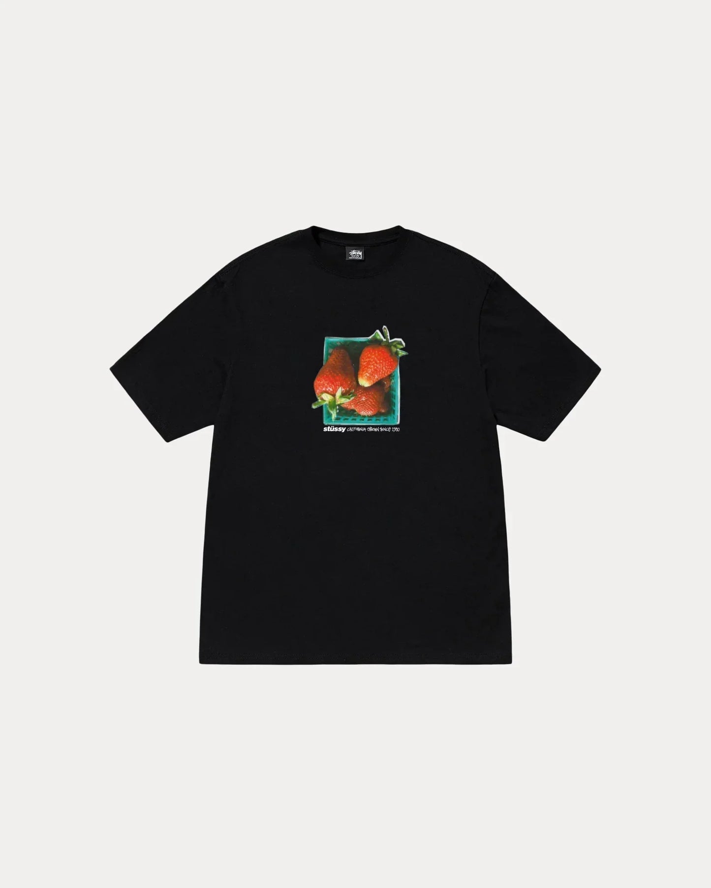 STUSSY BERRIES TEE