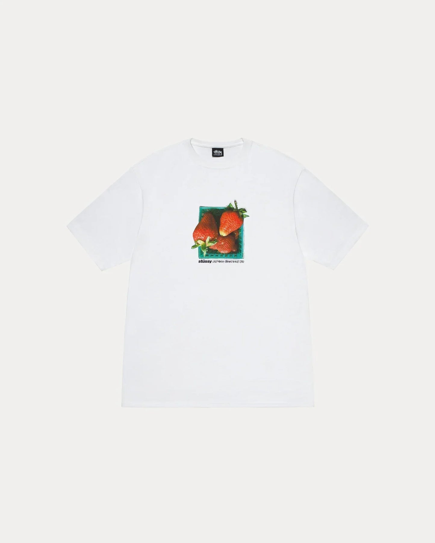 STUSSY BERRIES TEE